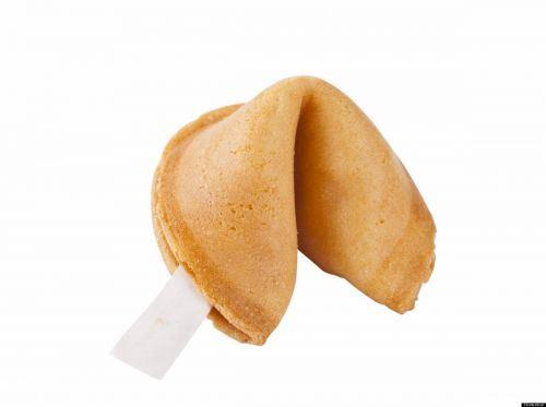 (Case) Garden Fortune Cookies (Single) 7g*300
