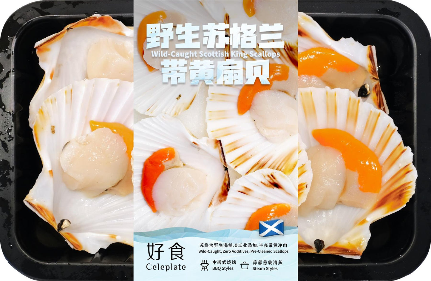 ❄️ Celeplate Wild Catch Scottish King scallop (5pcs) 野生蘇格蘭带黄扇貝 (5個) 20 x 400g